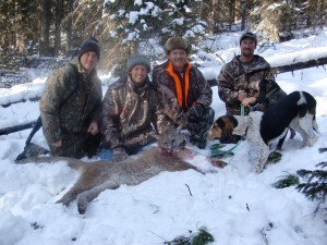 Mountain Lion Hunting