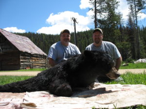 Guided bear hunting in Idaho